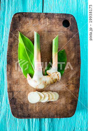 rhizome of galangal fresh. rhizome of galangal fresh. 19938175
