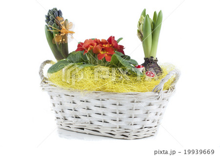 Bouquet of flowers 19939669