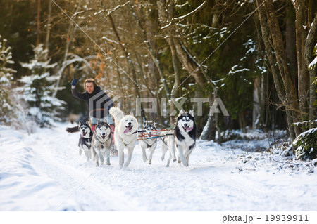 Fun run to win 19939911