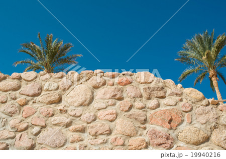 Stone wall and palms against the blue sky 19940216