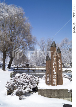 冬の安曇野わさび田湧水群公園 19941026