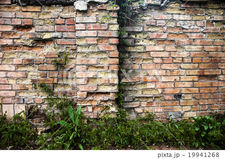 Brick wall with ivy. Brick wall with ivy. 19941268
