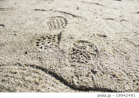 砂の上の足跡 19942491