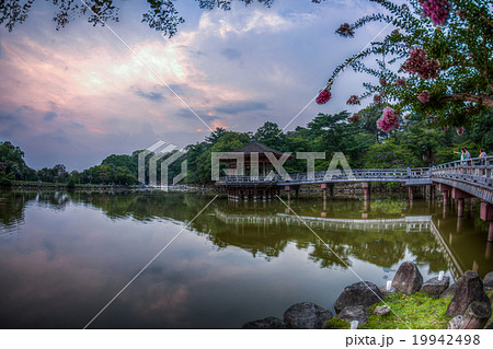 ukimido temple  sagiike pond 19942498