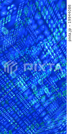 これこそパルス 19944086