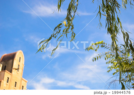 風に揺れる柳と建物 風に揺れる柳と建物 19944576