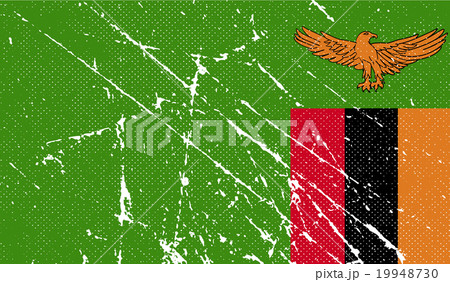 Flag of Zambia with old texture. Vector 19948730