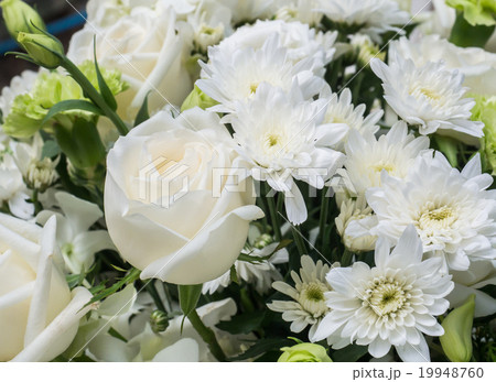 Bouquet of white roses 19948760