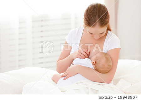 mother breastfeeding newborn baby in white bed 19948907