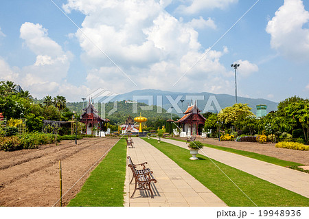 landscape of Chang Mai 19948936
