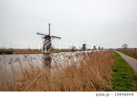 Kinderdijk in holland 19948949