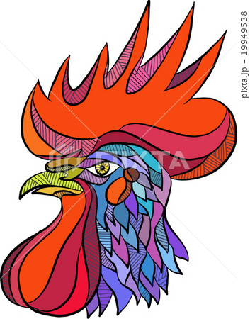 Chicken Rooster Head Side Drawing 19949538