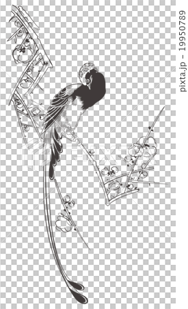 和泉廣島的白色廣島白梅圖像 19950789