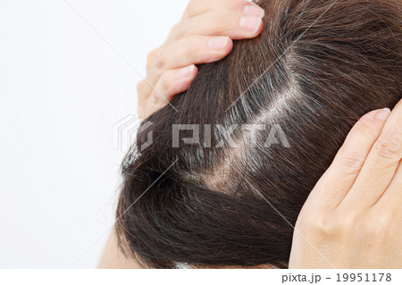 白髪 19951178