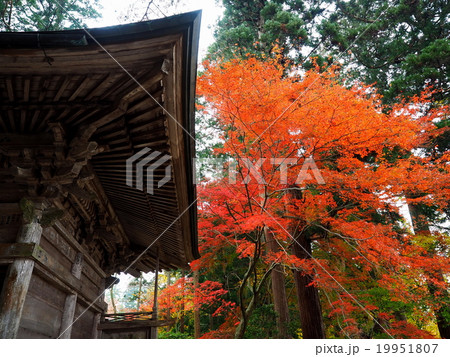 世界遺産　平泉　中尊寺の紅葉 19951807