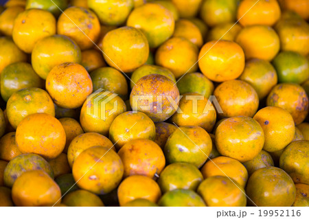 fresh orange fruit background 19952116