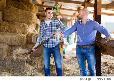 Two farm workers in hayloft Two farm workers in hayloft 19954160