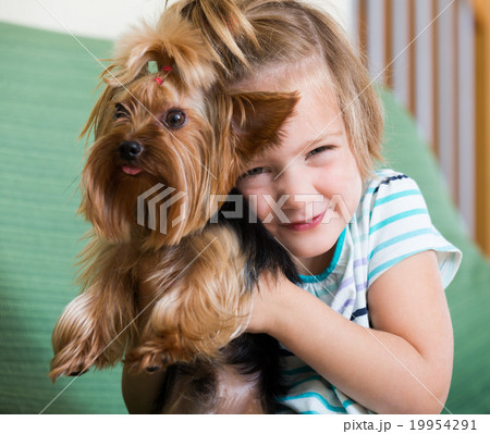 Cute little girl with yorkshire terrier indoor 19954291