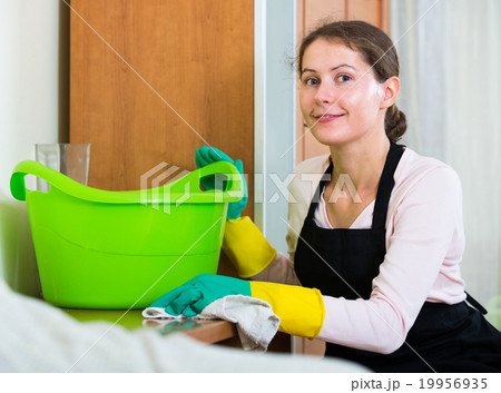 maid in apron dusting and wiping 19956935