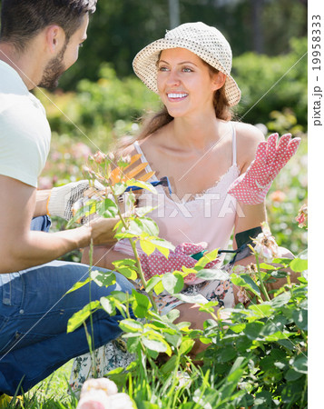 Family in gloves planting garden plants 19958333