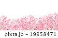 桜　春　花　背景  19958471