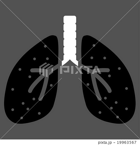 Lungs Flat Icon Lungs Flat Icon 19963567