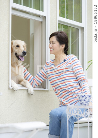 窓から顔を出す犬と日本人女性 19965152