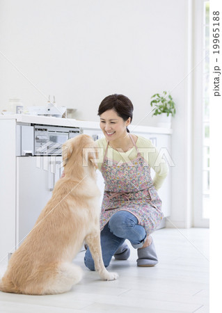 40代の女性とラブラドールレトリバー 19965188