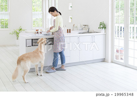 キッチンに立つ女性と犬の写真素材