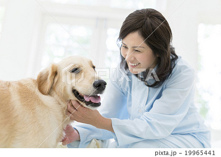 犬を撫でる40代の女性の写真素材