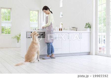 キッチンに立つ女性と犬 キッチンに立つ女性と犬 19965592