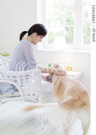 犬を撫でる40代の女性 19965601