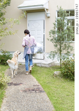 ゴミ袋を持つ日本人女性と犬 19965747