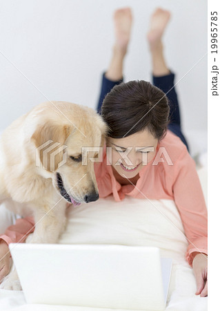 ノートパソコンに向かう女性と犬 19965785