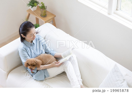 本を読む女性 19965878