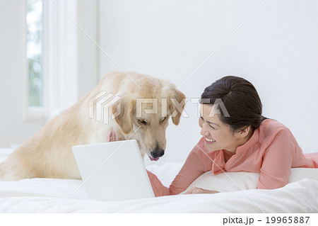 ノートパソコンに向かう40代の女性と犬 ノートパソコンに向かう40代の女性と犬 19965887