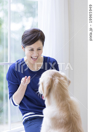 40代の日本人女性と犬 40代の日本人女性と犬 19965949