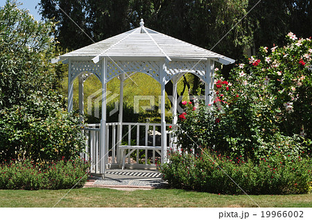 白いガゼボ 19966002