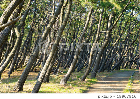 千本浜公園 千本浜公園 19967916