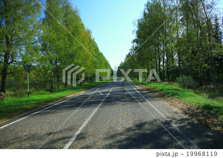 autumn park landscape with trees with yellow foliage autumn park landscape with trees with yellow foliage 19968119