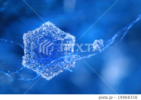 snowflake crystal natural snow 19968356