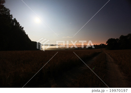 landscape city lights on the horizon, evening 19970197