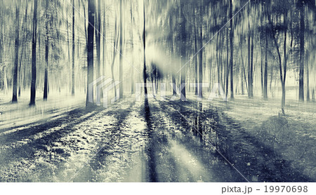 landscape blurred autumn forest 19970698