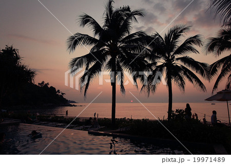 sunset sea beach palms pool sunset sea beach palms pool 19971489