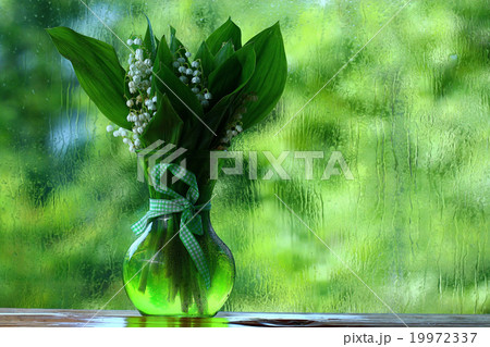 bright colorful flowers on a green background bright colorful flowers on a green background 19972337