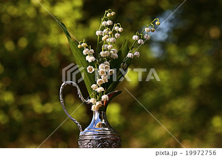 background with spring flowers, the concept of love, bouquet background with spring flowers, the concept of love, bouquet 19972756