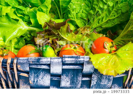 Organic vegetables in the wicker basket Organic vegetables in the wicker basket 19973335