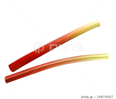 ルバーブ 19974007