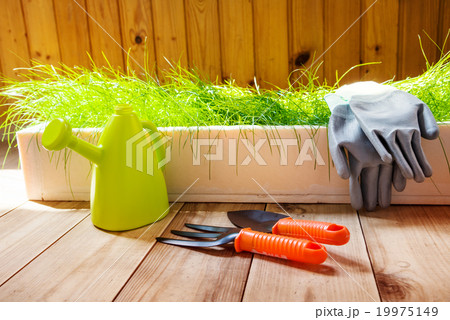 gardening tools 19975149