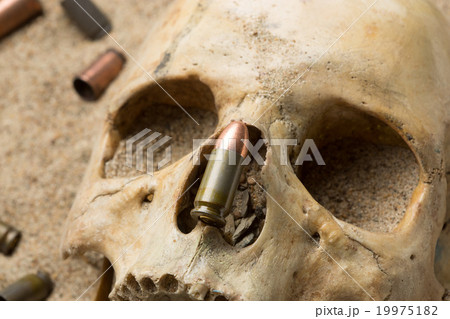 skull lying in the sand, scattered rifle and 19975182